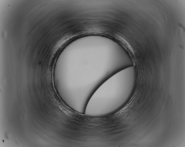 X0000097501027200802220836