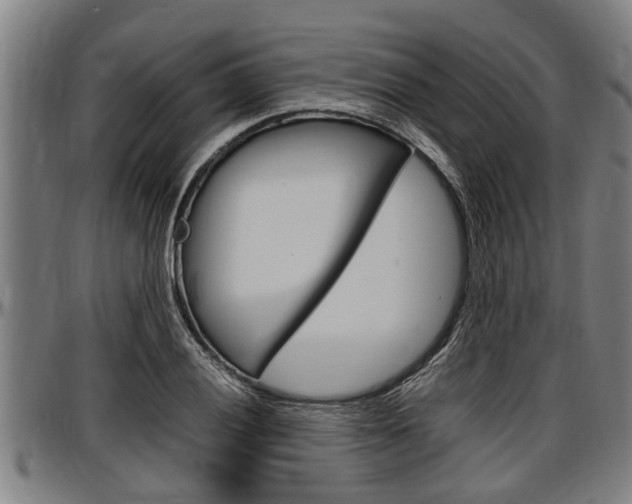 X0000097501028200802220836