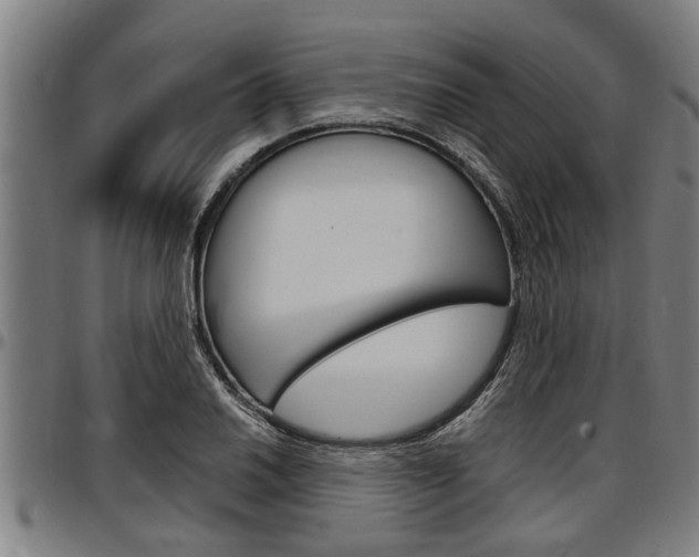 X0000097501030200802220837