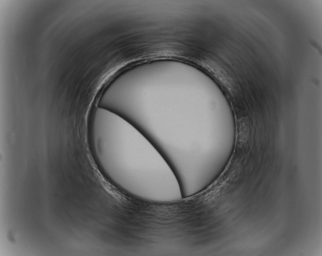 X0000097501031200802220837