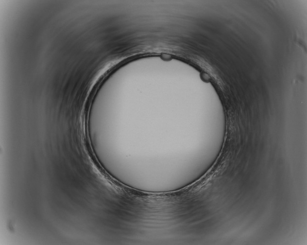 X0000097501032200802220837