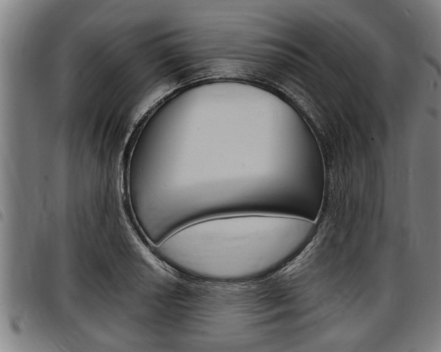 X0000097501034200802220837