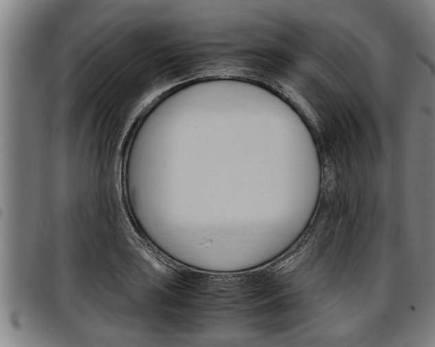X0000097501035200802220837
