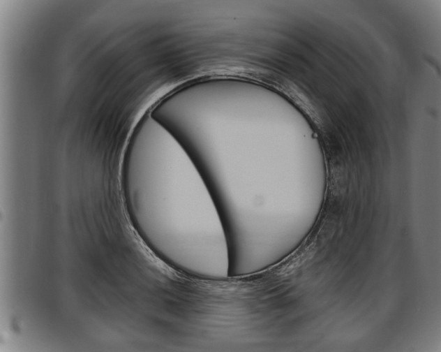 X0000097501036200802220837