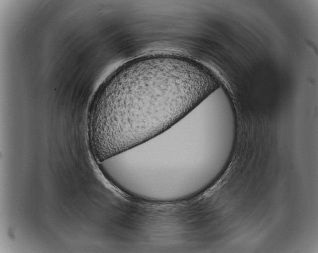 X0000097501038200802220837
