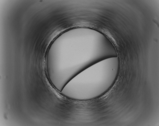 X0000097501040200802220837
