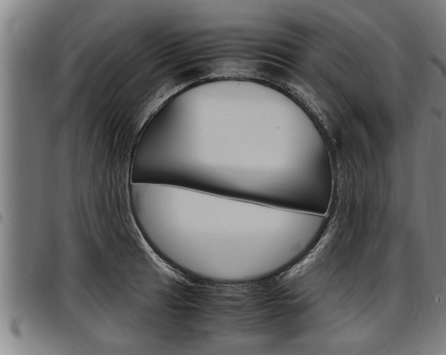 X0000097501041200802220837