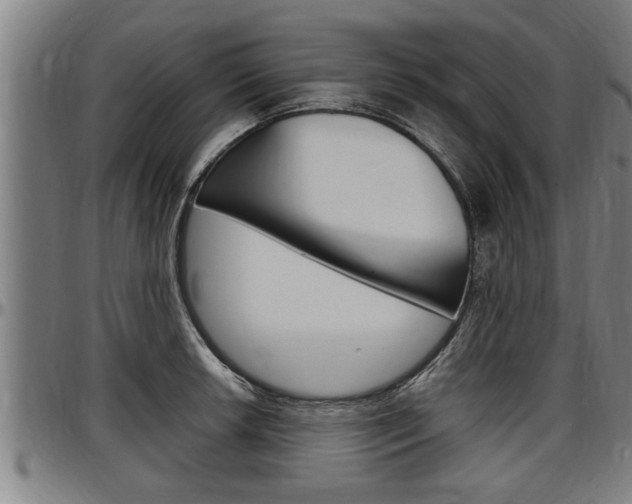 X0000097501042200802220837
