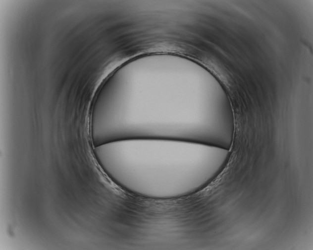 X0000097501044200802220837