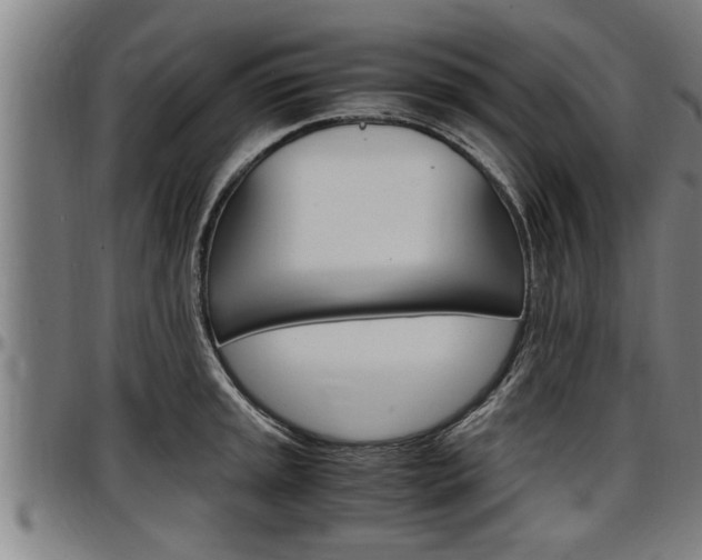 X0000097501045200802220837