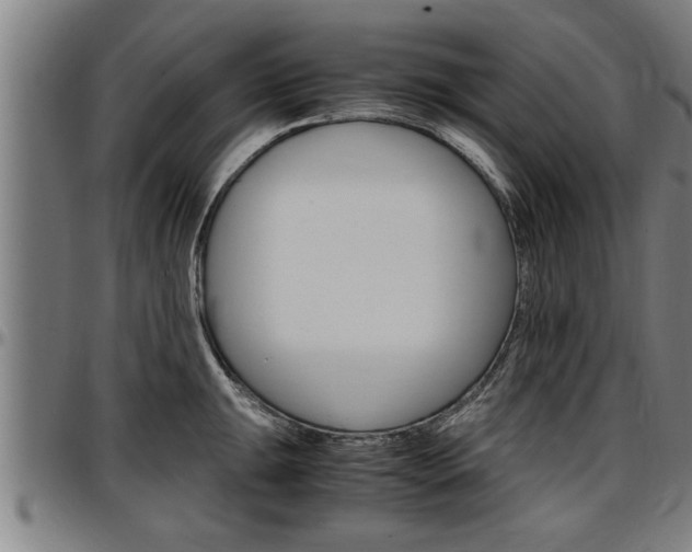 X0000097501047200802220837