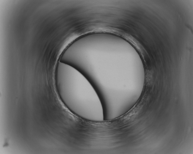 X0000097501048200802220837