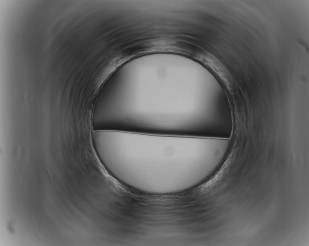 X0000097501049200802220837
