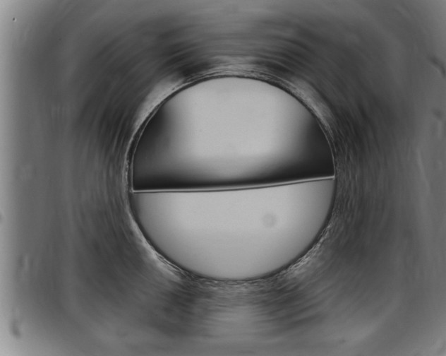 X0000097501050200802220837