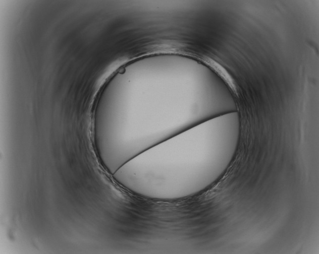 X0000097501051200802220837