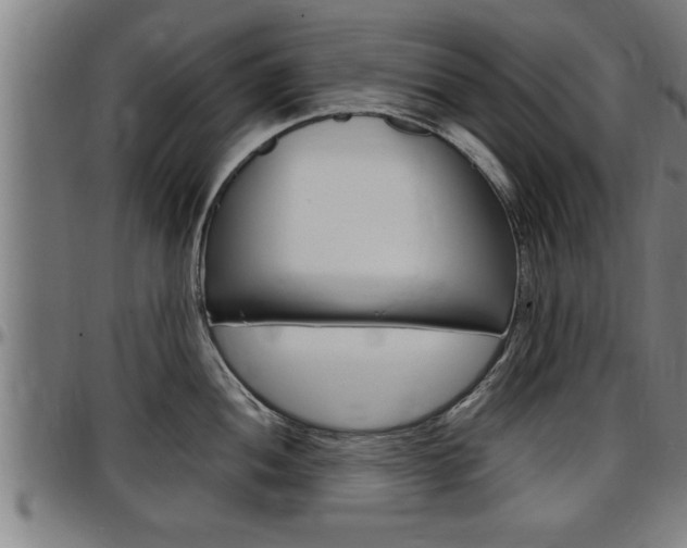 X0000097501052200802220837