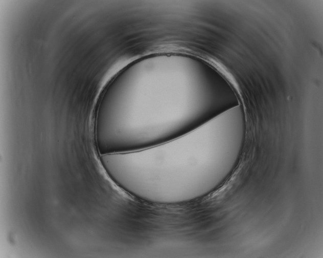 X0000097501053200802220837