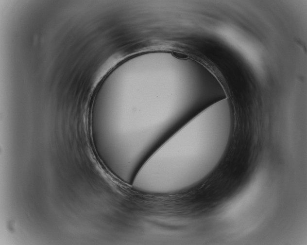 X0000097501054200802220837