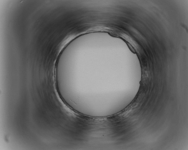 X0000097501055200802220837