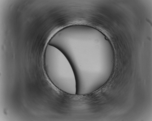 X0000097501056200802220837