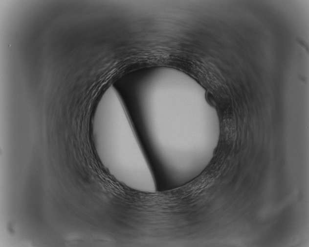 X0000097501057200802220836