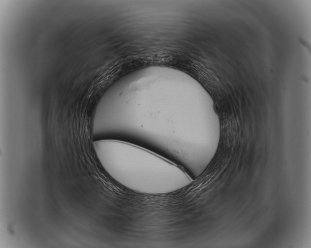 X0000097501058200802220836