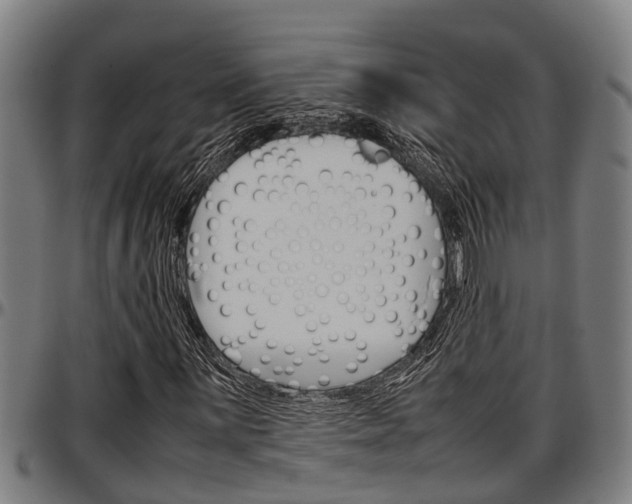 X0000097501059200802220836
