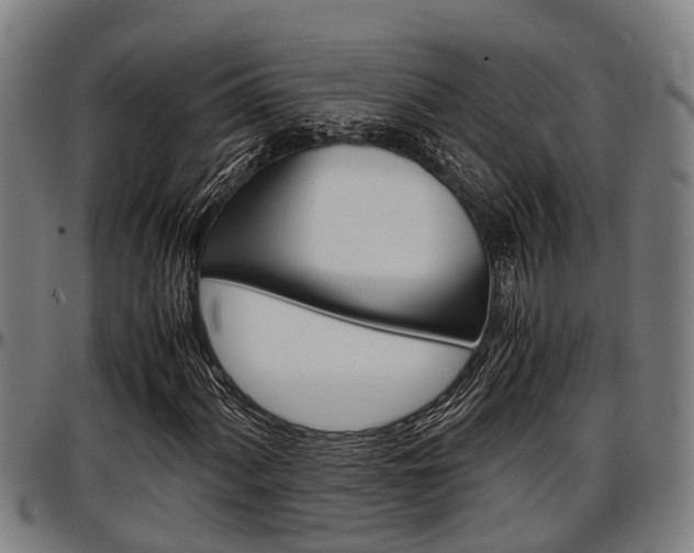 X0000097501060200802220836
