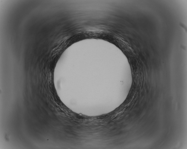X0000097501061200802220836