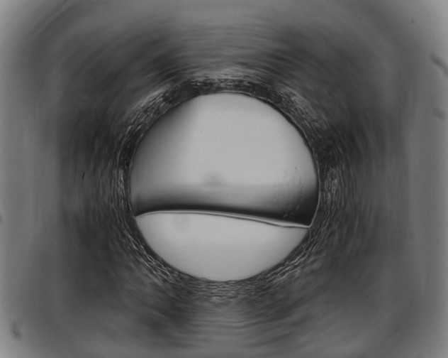 X0000097501062200802220836
