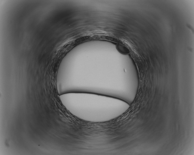 X0000097501063200802220836
