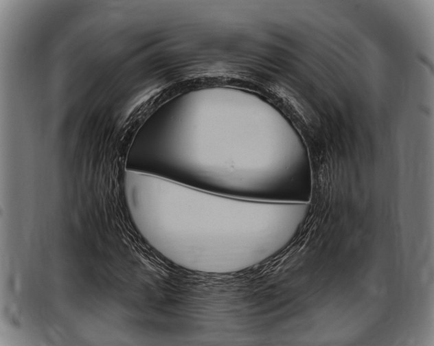 X0000097501064200802220836