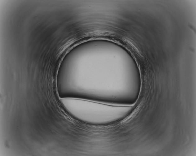 X0000097501065200802220836