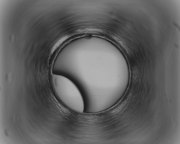 X0000097501066200802220836