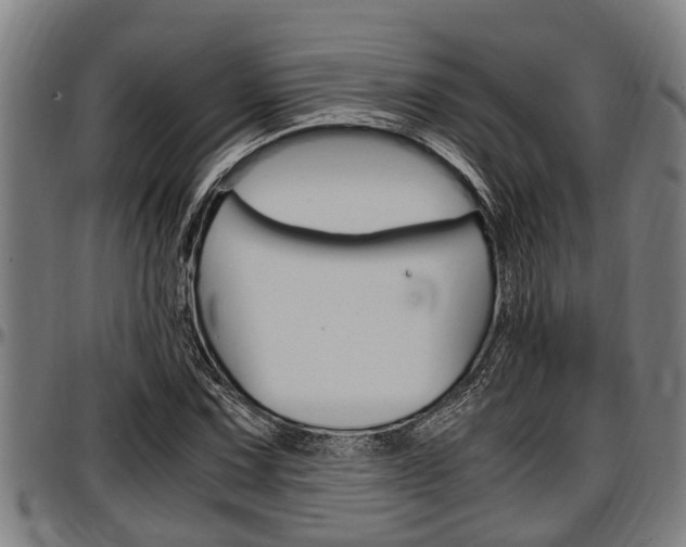 X0000097501067200802220836