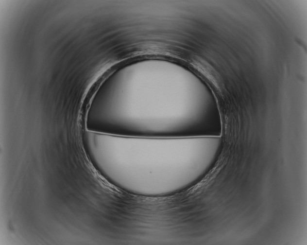 X0000097501068200802220836