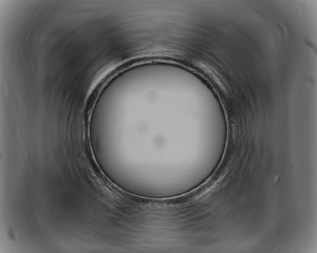X0000097501069200802220836