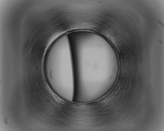 X0000097501072200802220836