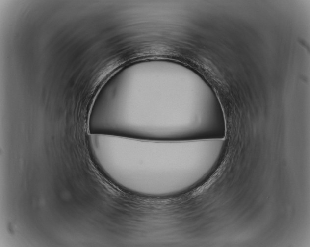 X0000097501073200802220836