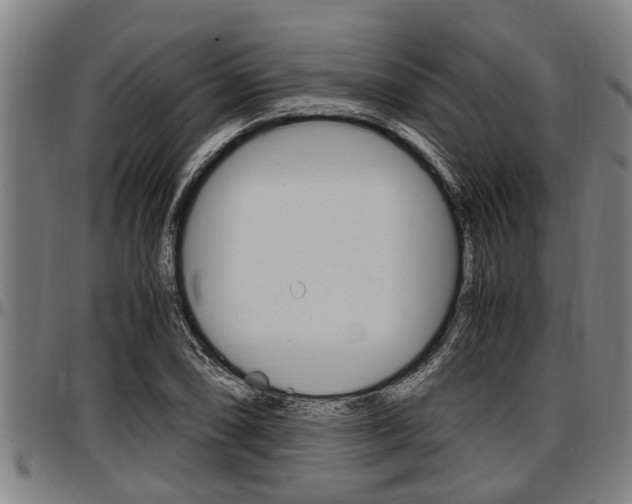 X0000097501074200802220836
