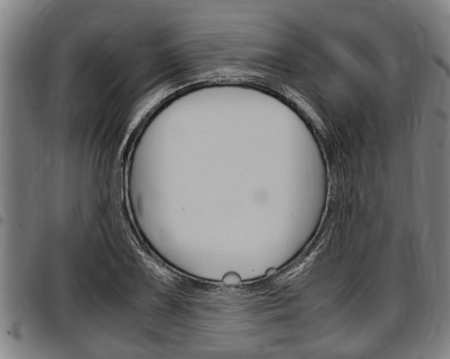 X0000097501075200802220836