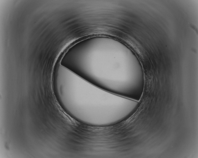 X0000097501076200802220836