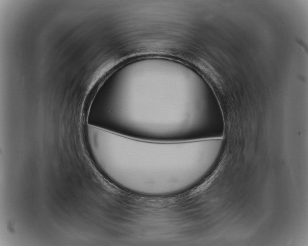 X0000097501077200802220836