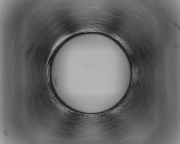 X0000097501078200802220836