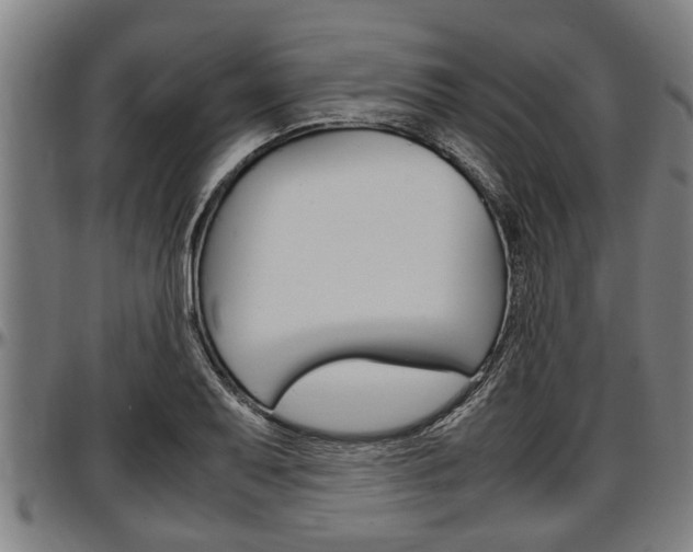 X0000097501079200802220836