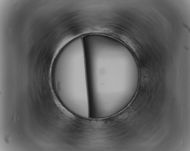 X0000097501080200802220836