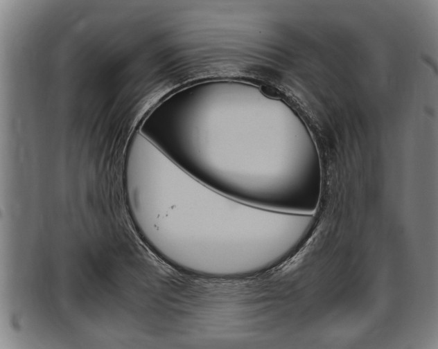 X0000097501081200802220836