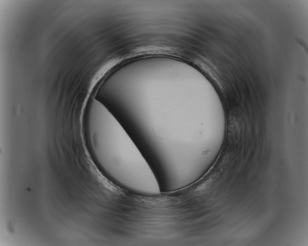 X0000097501082200802220836