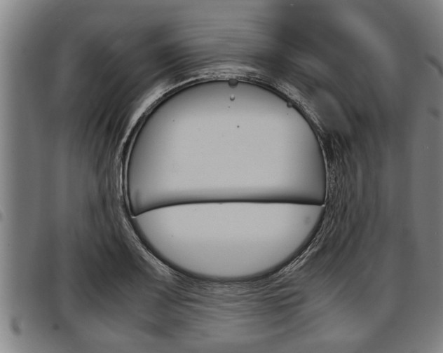 X0000097501083200802220836
