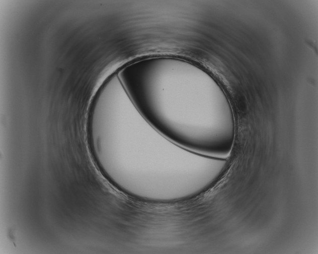 X0000097501085200802220836